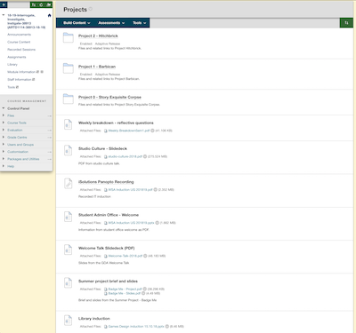 Screenshot from Blackboard